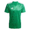 output_imageye___-_imgi_57_13938-329.webp