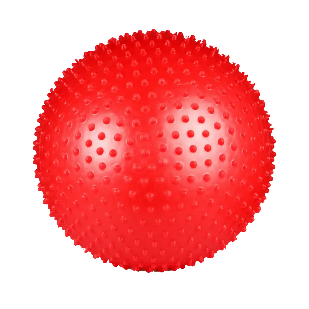 FLOTT MASSAGE BALL 65CM FGB-1381