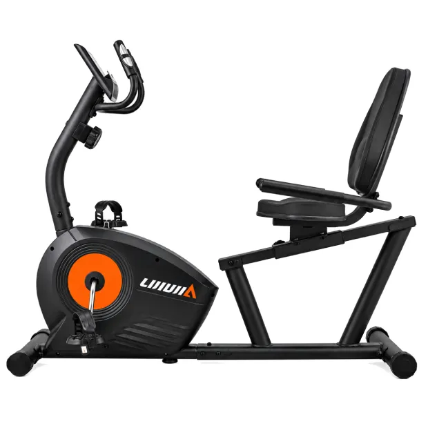 LIJUJIA RECUMBENT BIKE 110KG BC89033