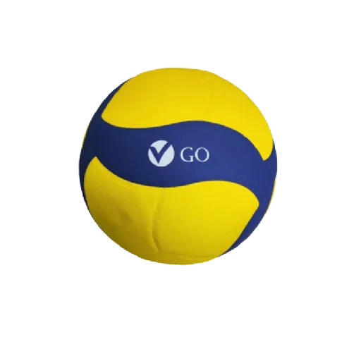 GO VOLLEYBALL 25