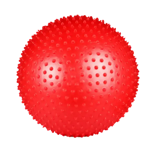 FLOTT MASSAGE BALL 65CM FGB-1381