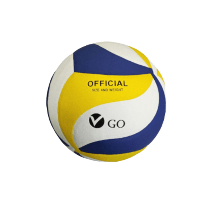 GO VOLLEYBALL 26
