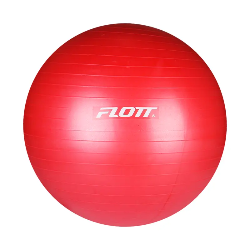 كرة سويسرية 65 سم من FLOTT
