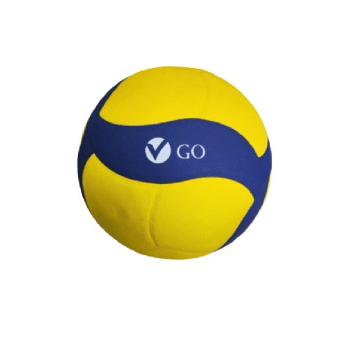 GO VOLLEYBALL 25